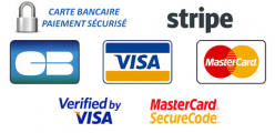 Logo payline paiement securise copie large